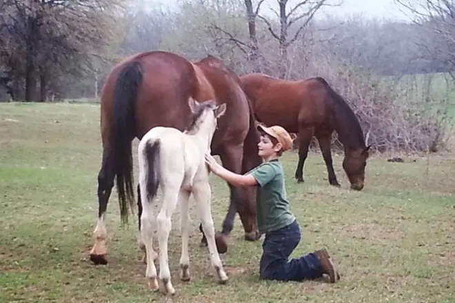 Guida in ATV al Red Hill Ranch: Chisholm Trail e viste del ranch