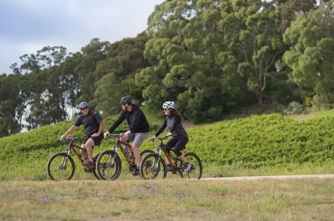 Hahndorf E-Bike Tour: Adelaide Hills Wineries and Farms