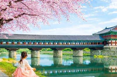 Découvrez le calme du temple bulguksa, flânez dans le village hanok de gyochon et perdez-vous dans la forêt de bambous d’ahopsan lors d’une journée complète au départ de busan avec guide loc