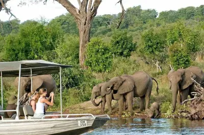 Chobe Safari Day Trip From Livingstone: Game Drive & River Cruise