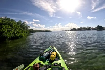 Descubra a tranquilidade da baía de sarasota em um passeio de caiaque a pedal em grupo pequeno. navegue pelos manguezais, observe a vida selvagem e aproveite caiaques fáceis de usar com guias locais
