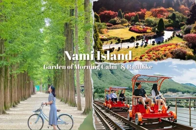 Entdecke die baumalleen von nami island, schlendere durch den garden of morning calm und radle mit dem gangchon railbike – alles mit lokalem guide und hin- und rücktransfer.