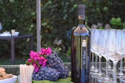 Scopri i vini sardi e assaggia l’olio extra vergine nella riserva di porto conte vicino ad alghero. degustazione di 5 vini locali, pecorino, salsiccia e guida esperta.