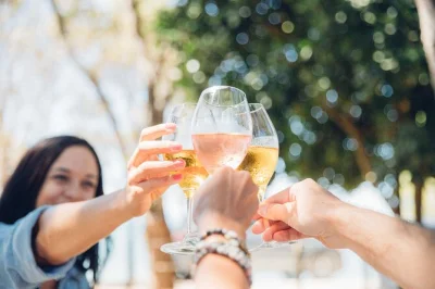 Descubra os vinhos boutique de waiheke island, almoce em uma vinícola no alto da colina e aproveite vistas incríveis de auckland. inclui degustações, guia local e traslado de balsa.