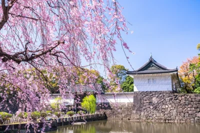 Entdecke tokios kaiserpalast ostgärten, erkunde die ruinen des edo-schlosses und spaziere mit einem lokalen guide. tauche ein in die geschichte der samurai und den spannenden kontrast der stadt.