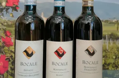 Degustação de vinhos em Montefalco: 3 vinhos com bruschetta