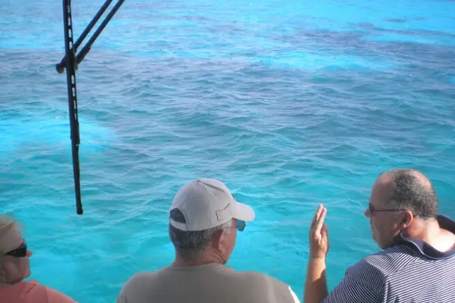 Key Largo Korallenriff Glasbodenboot: John Pennekamp Blick