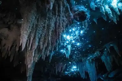 Milky Way Glowworm Cave Tour near Auckland: 1 Hour Guided