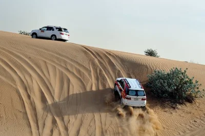 Feel the atlantic breeze at sidi r’bat, explore fishermen’s caves, spot rare birds by oued massa, and share a berber lunch in the atlas foothills—includes pickup.