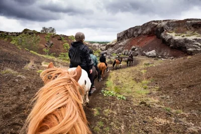Feel the icelandic wind on a small-group horse ride near reykjavik, explore ancient lava fields with a local guide, and enjoy hotel pickup plus warm gear included.