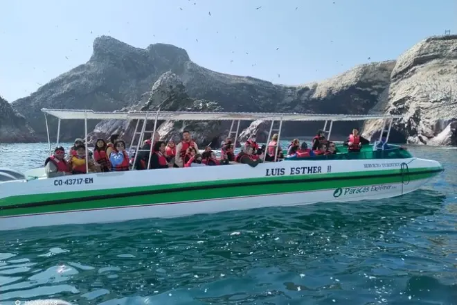 2-stündige Tour zu den Ballestas-Inseln ab Puerto San Martín