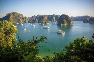 Explore as águas verdes de halong bay em um passeio de um dia com trilha na ilha ti top, visita à gruta do surpresa e almoço vietnamita fresco. inclui transfer do hotel.