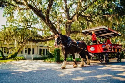 Découvrez beaufort au rythme paisible d’une calèche rouge tirée par des chevaux, guidé par un local à travers les rues antebellum, récits de la guerre de sécession et lieux de tournage. guide