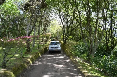 Feel the azores up close on a private 4x4 tour from ponta delgada—set your own pace, chat with your local guide, enjoy hotel pickup, and explore hidden roads.