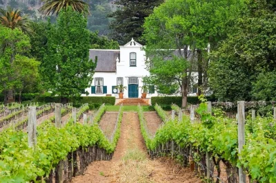 Step into the cape winelands on a half day stellenbosch wine tour, taste local biltong & cheese pairings, explore historic streets, and enjoy hotel pickup.