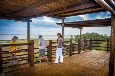Erlebe isimangaliso hautnah: ganztägige safari, schnorcheln in der geschützten bucht von cape vidal und entspanntes picknick – inklusive parkgebühren, guide und ausrüstung.