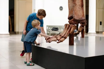 Step inside chicago’s field museum for a close-up with sue the t. rex, egyptian mummies, and dazzling gems. includes admission, daily tours, and ticketed exhibits.