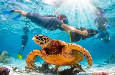Moorea, korallengärten und sea scooter schnorcheln mit lokalen guides. inklusive ausrüstung, wasserflasche & optionaler hoteltransfer.