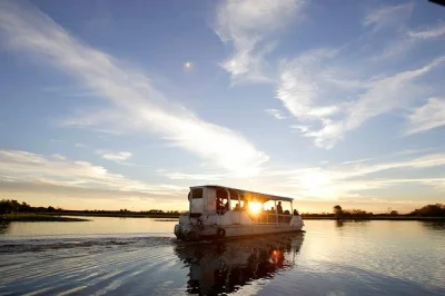 Wake up to kakadu’s yellow water at sunrise or drift at sunset, spotting crocs and birds with a local guide. includes live commentary and accessible cruise options.