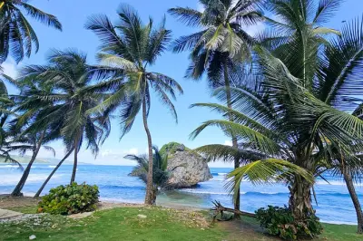 Tour privato personalizzato dell’isola di Barbados