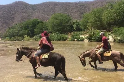 Puerto Suelo à cheval et sources chaudes de la lagune Manialtepec
