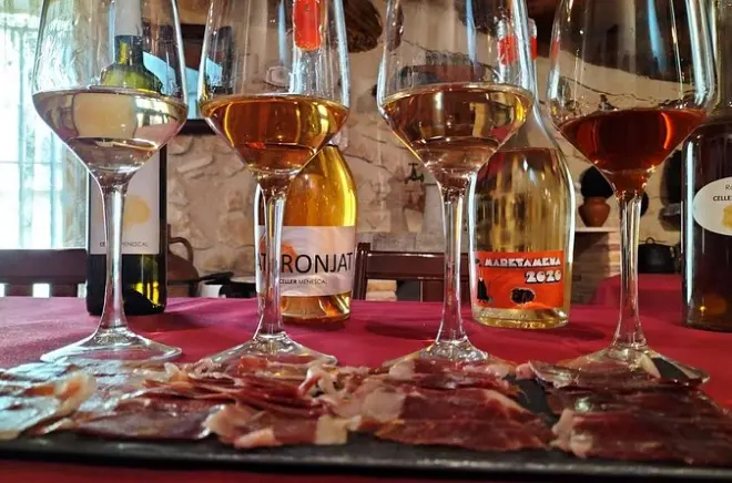 Dégustation privée de 6 vins lors d’une visite à la cave de Tarragona