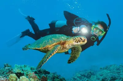 Diving in Antalya: Two guided dives, 20-30 minutes each