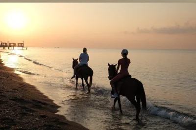 Feel the sea breeze on a private antalya horseback ride along lara beach and through pine forest, with hotel pickup and friendly guides. no experience needed.