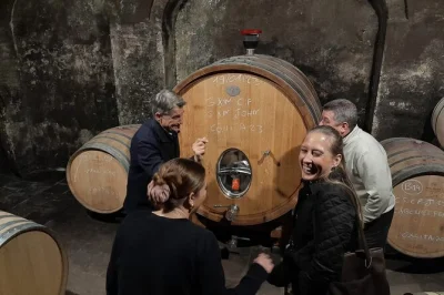 Descubra as vinícolas familiares do priorat com um sommelier local, prove vinhos raros envelhecidos e aproveite um almoço tranquilo com harmonização. inclui traslado do hotel.