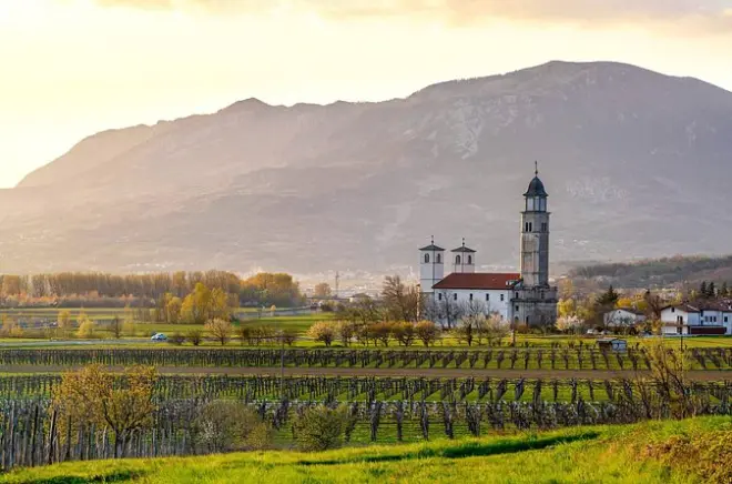 Vale de Vipava: 6 vinhos orgânicos com saída de Ljubljana