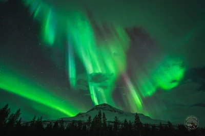 Chase the northern lights from tromsø with a local guide, campfire, pro photos, and warm arctic gear. includes pickup, snacks, and expert aurora tips.