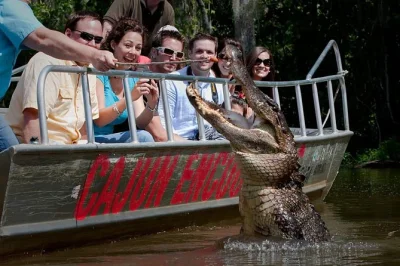 Erlebe die wilde seite von louisiana bei einer kleinen bootstour durch den honey island swamp ab new orleans – inklusive besuch eines cajun-dorfes, tierbeobachtungen und abholung.