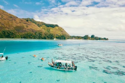 Feel the rush of swimming with sharks, rays, & sea turtles in moorea’s lagoon. small group boat tour with local guide, snorkel gear included, plus snacks or lunch.