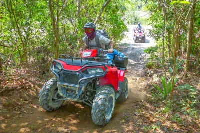 Vivi l’avventura nella giungla di cozumel su un atv, assaggia tequila autentica e fai snorkeling direttamente dalla spiaggia. pranzo, attrezzatura e transfer inclusi, con guide locali esperte.
