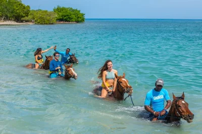 Feel the rush in jamaica with atv rides, horseback swim, catamaran cruises, and rum tasting. all-access adventure pass with hotel pickup and local guides.