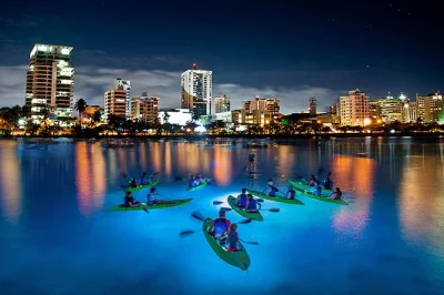 Feel the city lights from a glowing kayak on san juan’s condado lagoon, with sunset or night options, glow paint, and a friendly local guide. includes gear & storage.