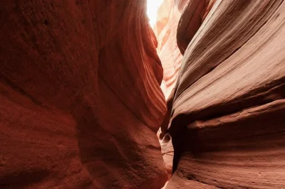 Erlebe den nervenkitzel einer utv-tour durch kanabs rote felsen und entdecke den verschlungenen peekaboo slot canyon mit einem lokalen guide. inklusive wasser und einfachem abholservice.