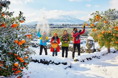 Feel jeju’s wild side on a day trip from hallasan’s volcanic trails to camellia hill, cheonjeyeon waterfall, and o’sulloc tea museum. includes pickup & guide.