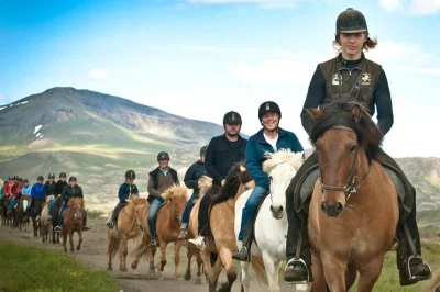 Feel the rhythm of icelandic horses just outside reykjavik, with hotel pickup, gear included, and a local guide matching you to the perfect horse. book your ride today.