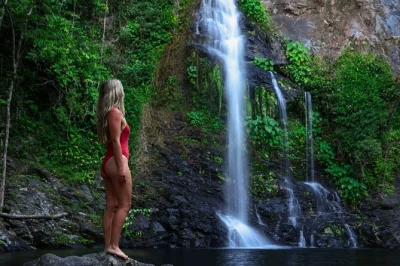 Entdecke die daintree: schwimme an den cassowary falls, fahr mit dem atv durch den regenwald und erlebe krokodile bei einer flussfahrt. inkl. abholung in port douglas und mittagessen im daintree villa