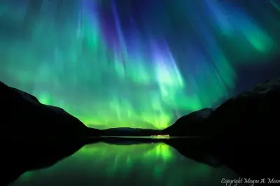 Persecución de auroras boreales en Tromsø: Tour en grupo pequeño