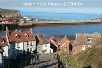 Descubre yorkshire, pasea por las ruinas de abadías y disfruta del auténtico fish & chips de whitby en una excursión en grupo pequeño desde york con transporte y guía local incluidos.