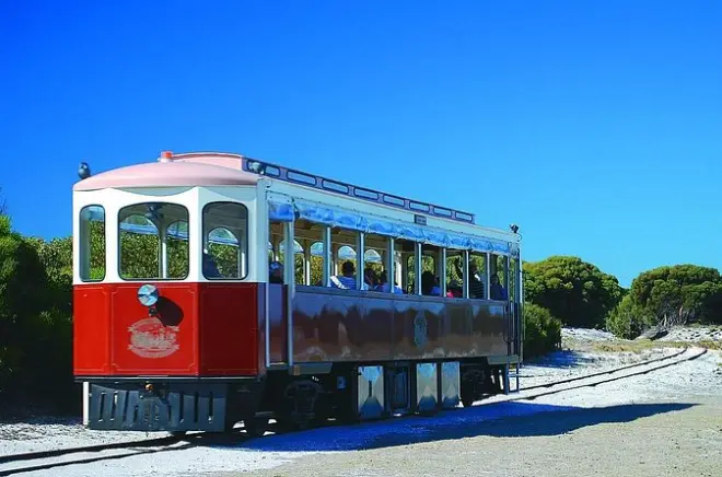 Rottnest Island grand tour : Train, tunnels et déjeuner