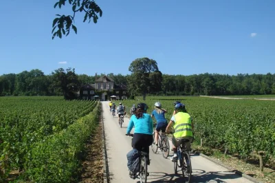 Pedal through burgundy’s vineyards from beaune, taste local wines in ancient cellars, and enjoy a classic lunch—bike rental, transfers, and guide included.