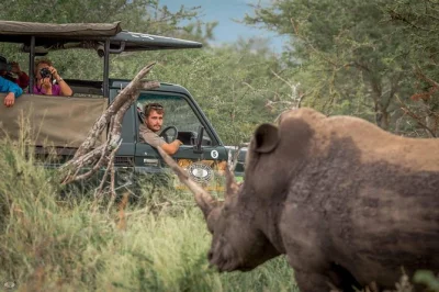 Wake up early for a full-day big 5 safari in hluhluwe-imfolozi park, with hotel pickup, expert ranger, bush breakfast and traditional braai lunch included.