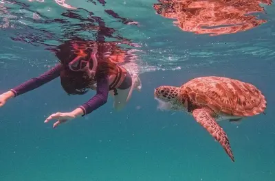 Snorkeling à l'île Redang : 6 arrêts sur récifs et plages
