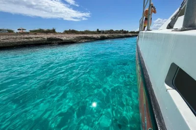 Navega la costa de aruba en catamarán, haz snorkel en el naufragio antilla, nada con tortugas en tres trapi y disfruta de un almuerzo ligero y barra libre con tripulación local y equipo incluido.