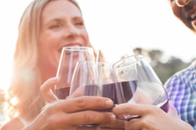 Niagara-on-the-lake, vignobles réputés, dégustation privée de 16 vins, accords charcuterie, guide local passionné, transport inclus et ambiance conviviale.