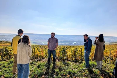 Step into champagne’s family-run vineyards near reims, taste 6 cuvées, chat with local producers, and enjoy a relaxed morning tour with pickup included.