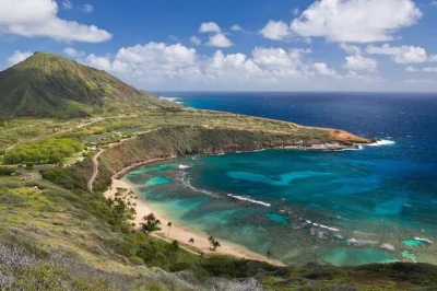 Erlebe den wind am pali lookout, koste frische macadamias, schwimme unter den waimea falls und entspanne am sunset beach – inklusive abholung vom waikiki hotel.